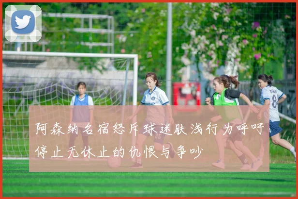 阿森纳名宿怒斥球迷肤浅行为呼吁停止无休止的仇恨与争吵