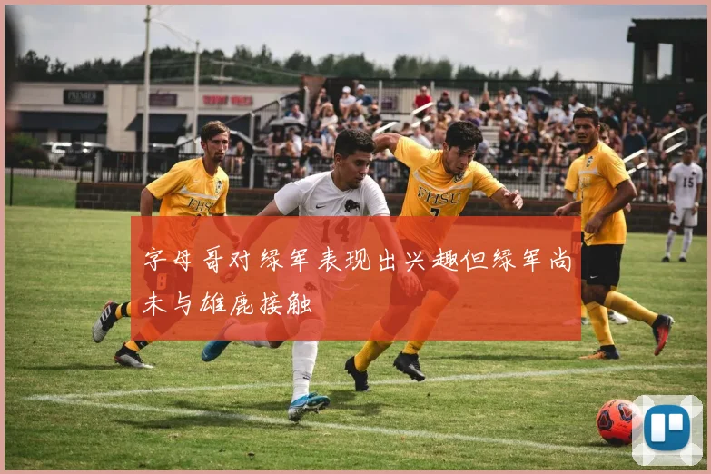字母哥对绿军表现出兴趣但绿军尚未与雄鹿接触