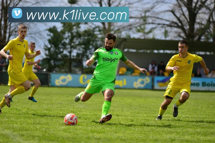 K1体育服务体系